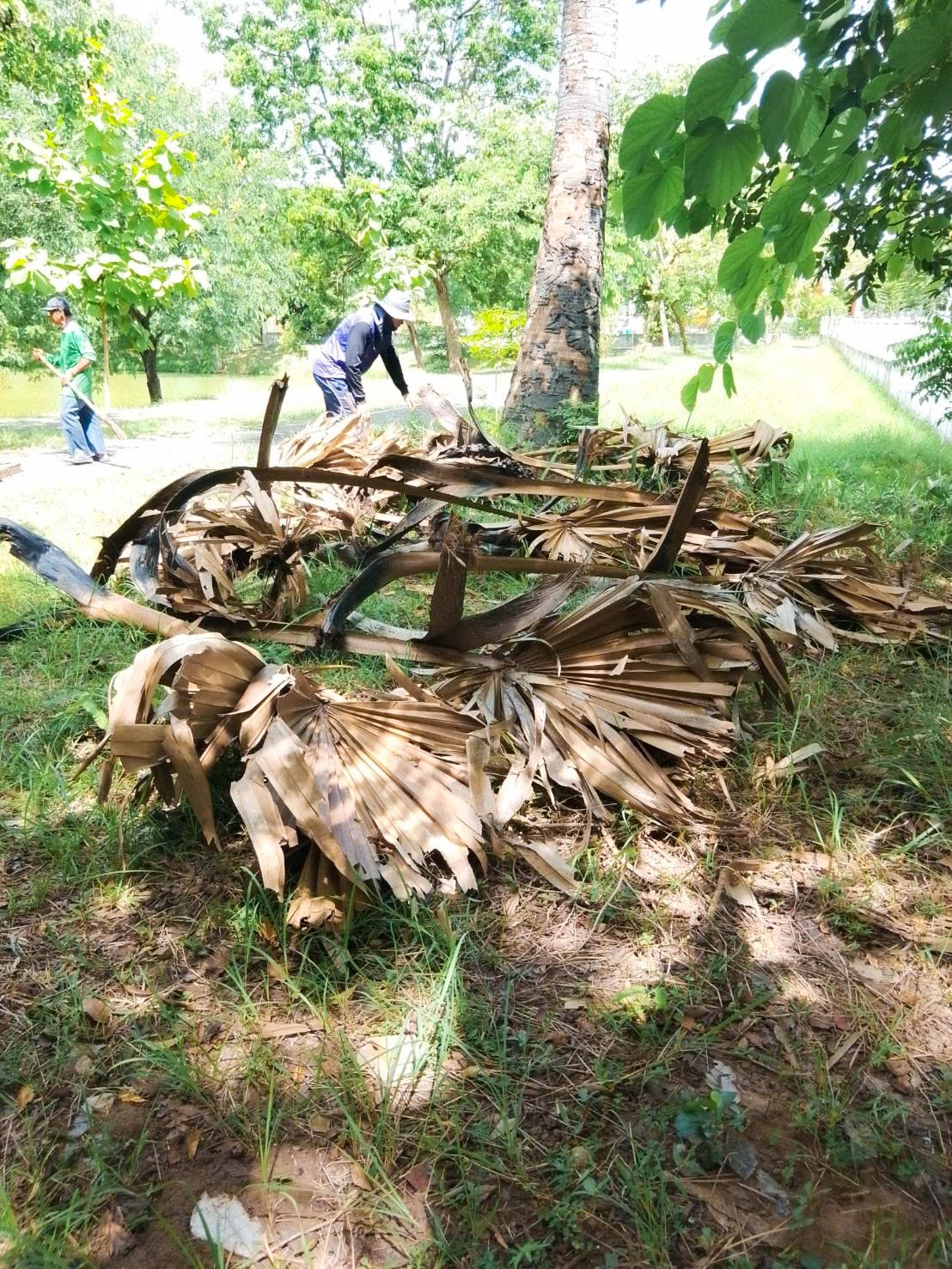 ลงพื้นที่พัฒนาสำนักงานและทำความสะอาดชุมชน